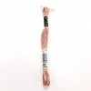ANCHOR MULİNE 1008